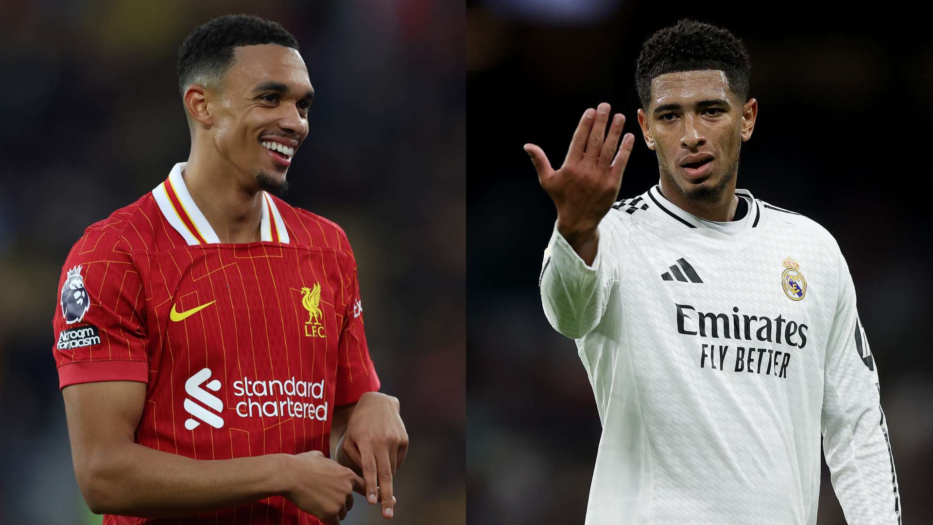 增添了無數 增添了無數